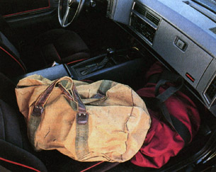 Syclone luggage