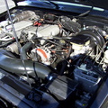 92Ty2393-03.JPG