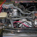 Alternator, & hoses
92_0082_E007