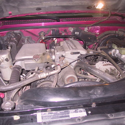 92 Raspberry