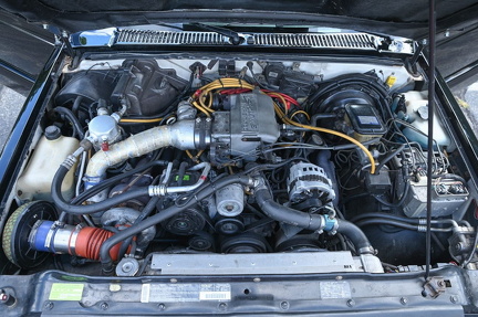 92Ty1385-05