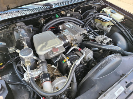93Ty1006-04