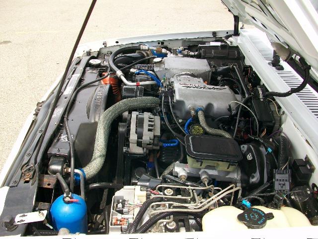 93Ty2031-09.JPG